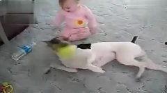 成人咬狗搞笑视频大全,成人版欢乐视频集锦