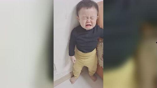 花瓶变成人了视频,从静物到活人的奇幻之旅