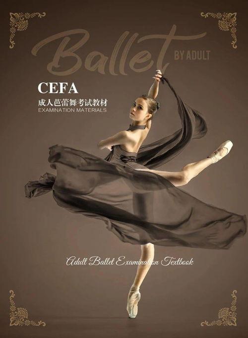 芭蕾成人介绍视频教学,成人学员的优雅启程