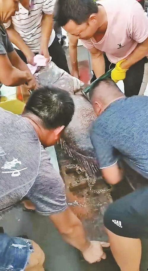 深圳成人视频网