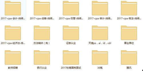 成人解压毛毡视频教程,跟随毛毡教程打造心灵疗愈空间