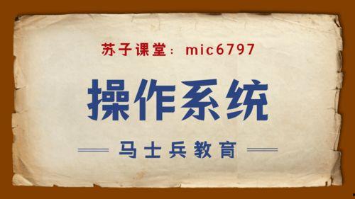 成人解压毛毡视频教程,跟随毛毡教程打造心灵疗愈空间