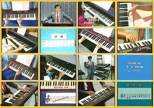 器乐成人教学视频教程,轻松入门，成就音乐梦想