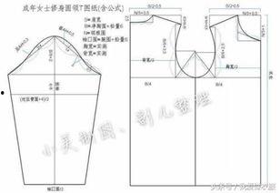 成人背袋秋裤裁剪图视频,轻松掌握时尚保暖新潮流